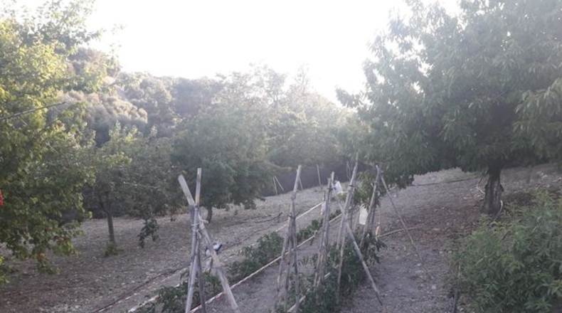 Málaga - Archidona - 2m2