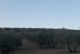 Archidona 1200&nbsp;m² 