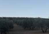 Finca rústica en venda a Archidona ref.: TR187306 foto