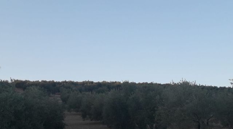 Málaga - Archidona - 2m2