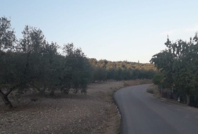 Archidona 1200&nbsp;m² 