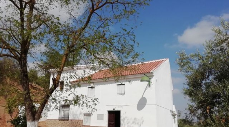 Málaga - Villanueva de Algaidas - 150m2