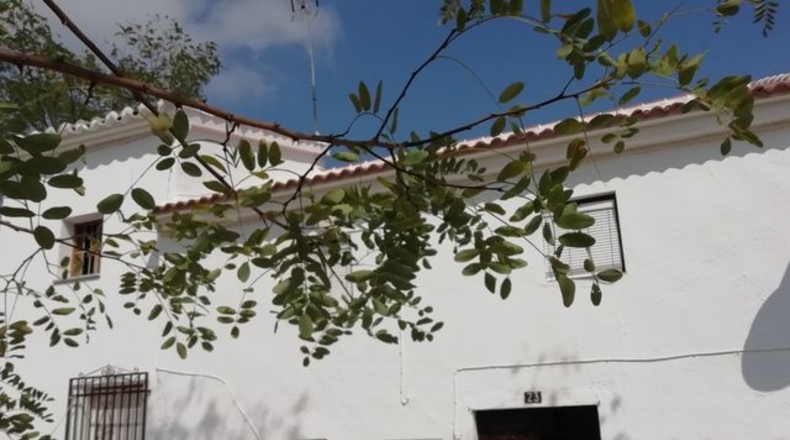 Málaga - Villanueva de Algaidas - 150m2