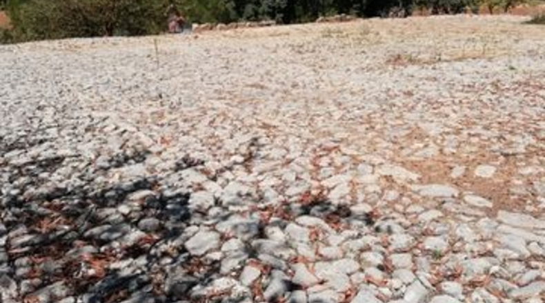 Málaga - Archidona - 7m2