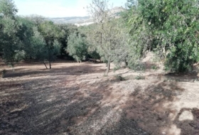 Archidona 7449&nbsp;m² 
