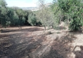 Finca rústica en venda a Archidona ref.: TR187304 foto