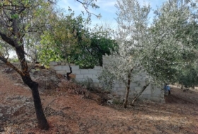 Archidona 7449&nbsp;m² 