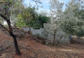 Finca rústica en venda a Archidona ref.: TR187304 foto