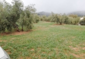 Terreny no urbanitzable en venda a Archidona ref.: TR109944 foto