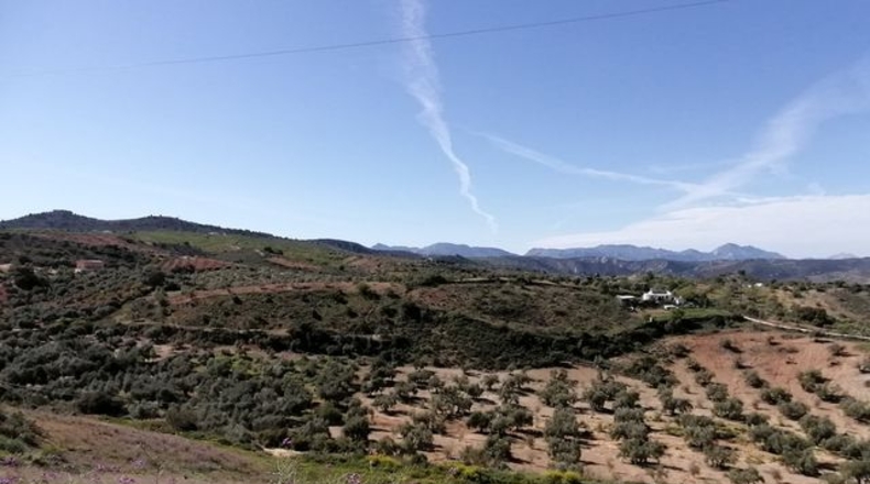 Málaga - Archidona - 17000m2