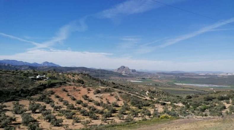 Málaga - Archidona - 17000m2