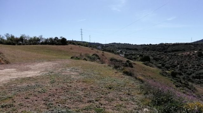 Málaga - Archidona - 17000m2