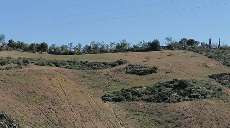 Málaga - Archidona - 17000m2