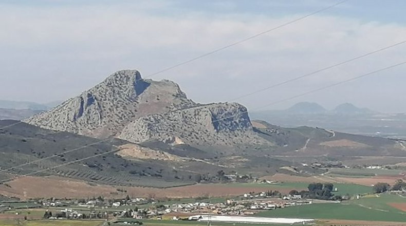 Málaga - Archidona - 17000m2