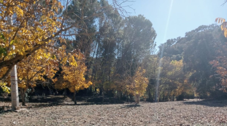 Málaga - Archidona - 16000m2
