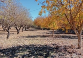 Finca rústica en venda a Archidona ref.: TR104811 foto