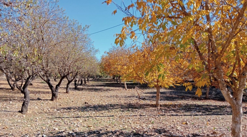 Málaga - Archidona - 16000m2