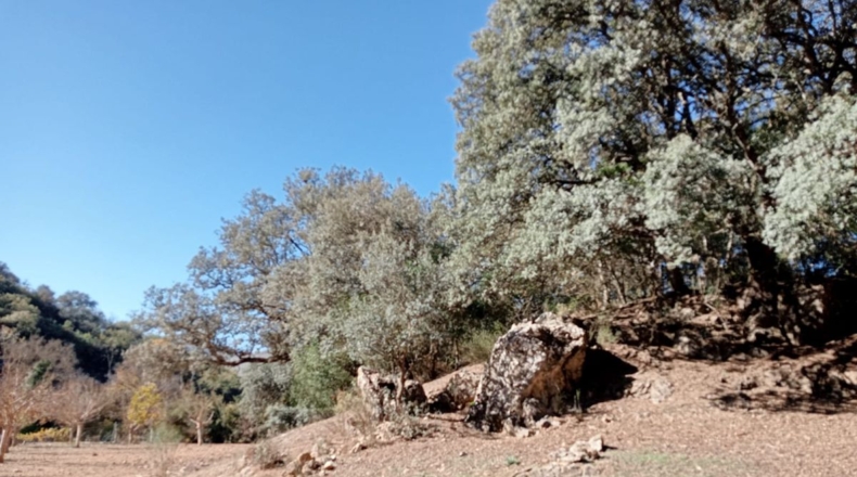 Málaga - Archidona - 16000m2