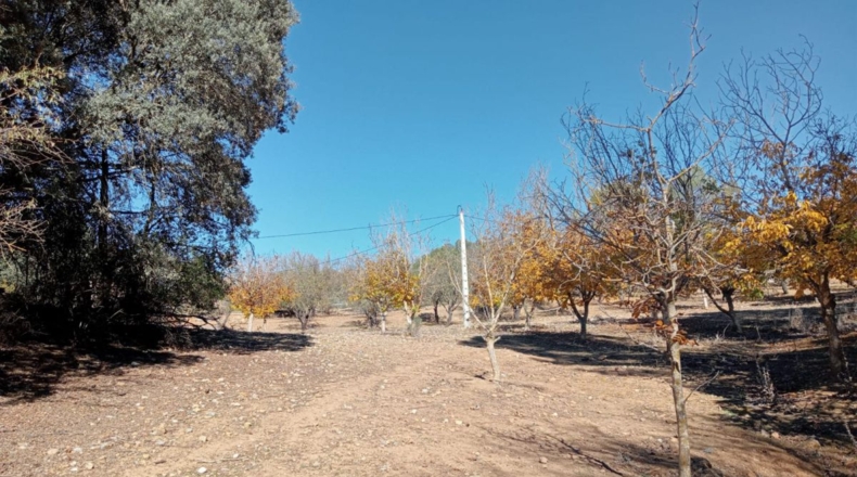 Málaga - Archidona - 16000m2