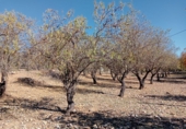 Finca rústica en venda a Archidona ref.: TR104811 foto