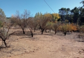Finca rústica en venda a Archidona ref.: TR104811 foto