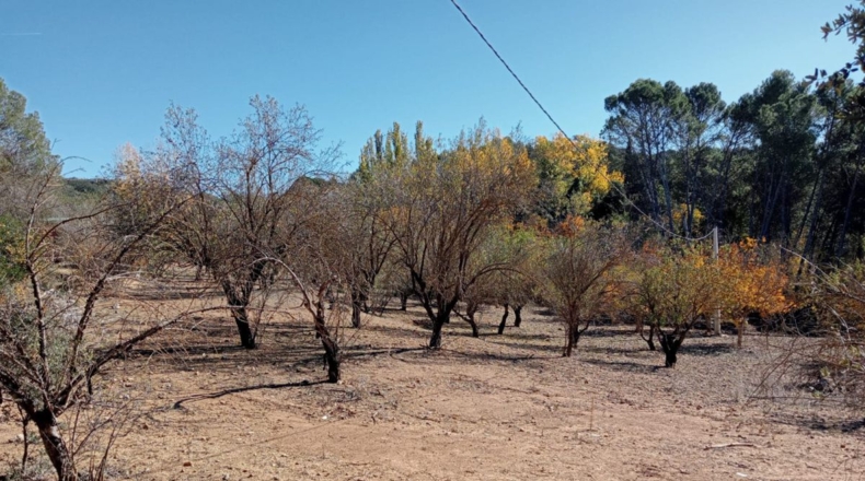 Málaga - Archidona - 16000m2
