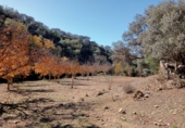 Finca rústica en venda a Archidona ref.: TR104811 foto