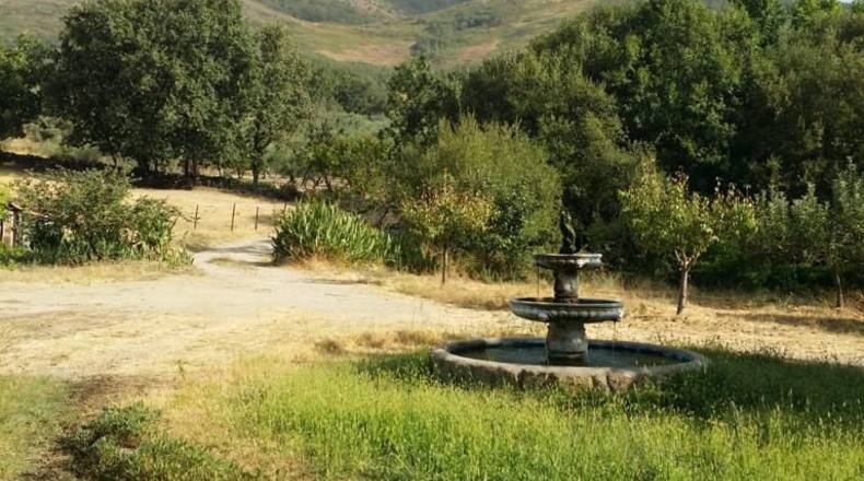 Caceres - Losar de la Vera - 90000m2