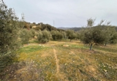 Xalet independent amb terreny en venda a Archidona ref.: TR204573 foto