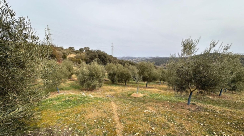 Málaga - Archidona - 6200m2