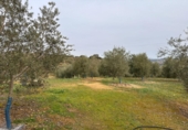 Xalet independent amb terreny en venda a Archidona ref.: TR204573 foto
