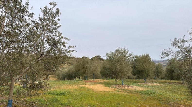 Málaga - Archidona - 6200m2