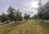 Xalet independent amb terreny en venda a Archidona ref.: TR204573 foto