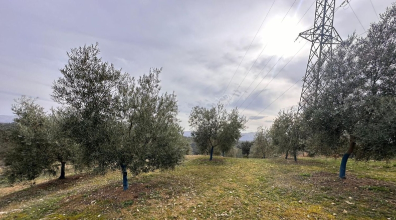 Málaga - Archidona - 6200m2