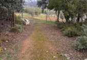 Xalet independent amb terreny en venda a Archidona ref.: TR204573 foto