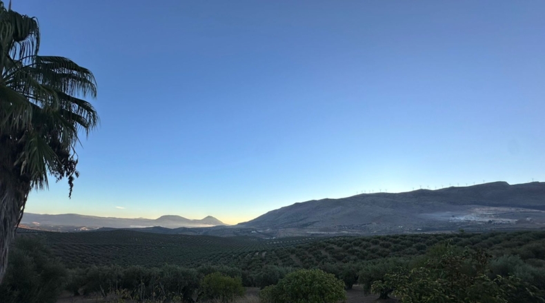 Granada - Loja - 44500m2