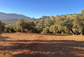 Loja 44500&nbsp;м²