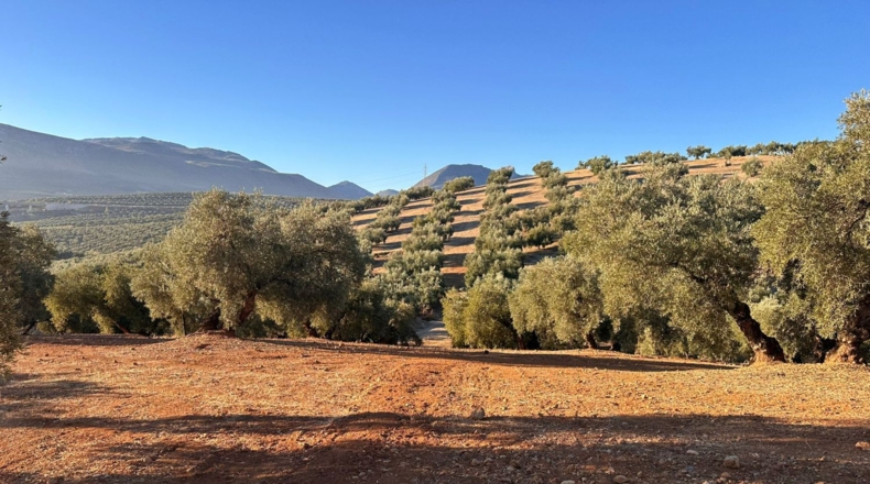 Granada - Loja - 44500m2