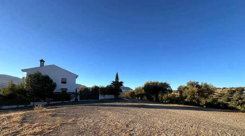 Granada - Loja - 44500m2