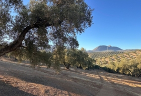 Loja 44500&nbsp;м²