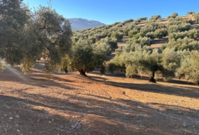 Loja 44500&nbsp;м²