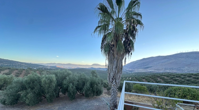Granada - Loja - 44500m2