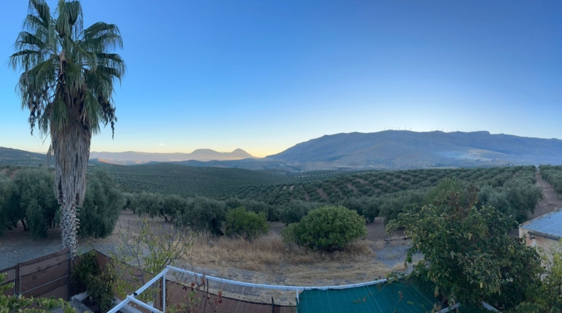 Granada - Loja - 44500m2