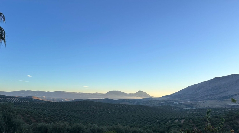 Granada - Loja - 44500m2