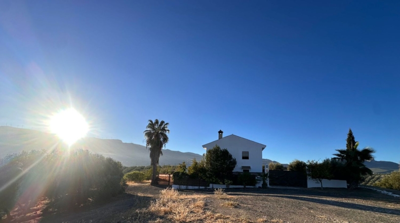 Granada - Loja - 44500m2