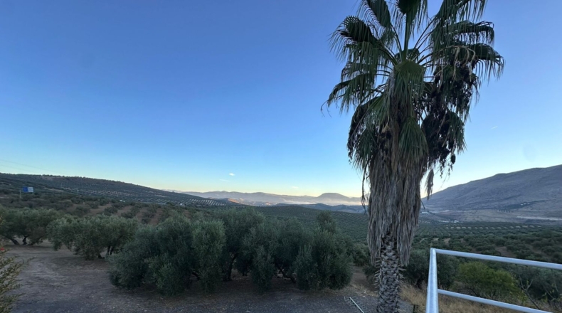 Granada - Loja - 44500m2