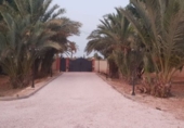 Xalet independent amb terreny en venda a Catral ref.: TR94798 foto