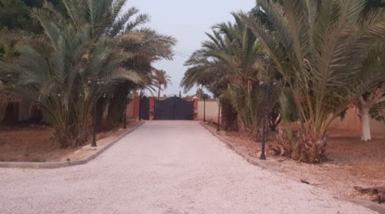 Alicante - Catral - 2100m2