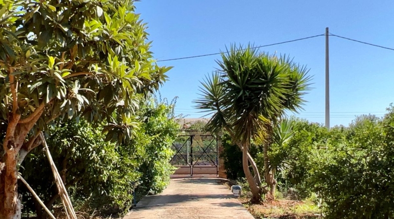 Castellón - Castelló de la Plana - 8720m2