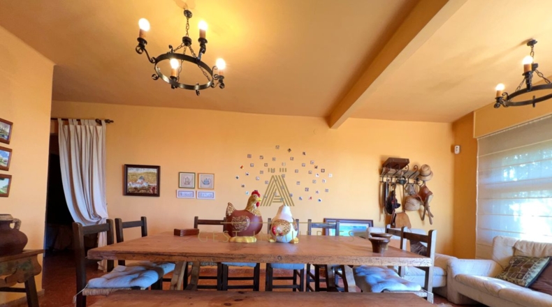 Castellón - Castelló de la Plana - 8720m2
